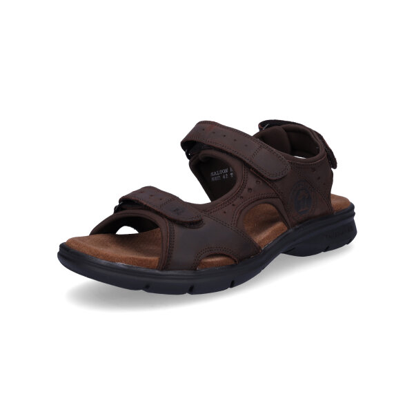 Panama Jack Herren Sandale dunkelbraun