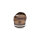 Rieker Herren Pantolette braun